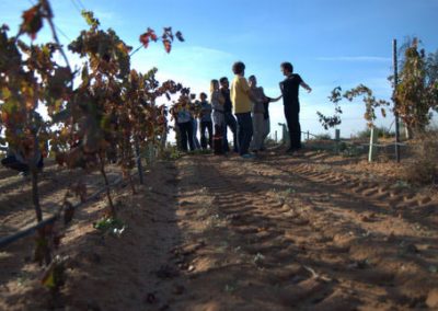 Visita al viñedo. enoturismo en La Mancha