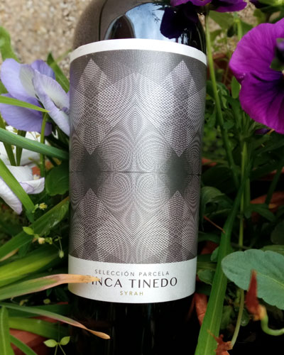 Tinedo Wine Days